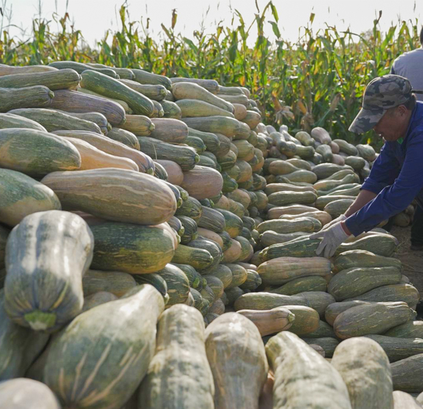 Qualité et processus